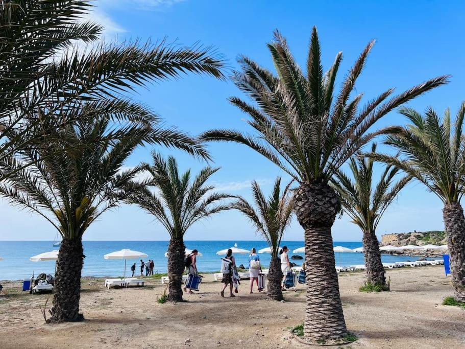 Pura Vida Daire Santa Pola Dış mekan fotoğraf